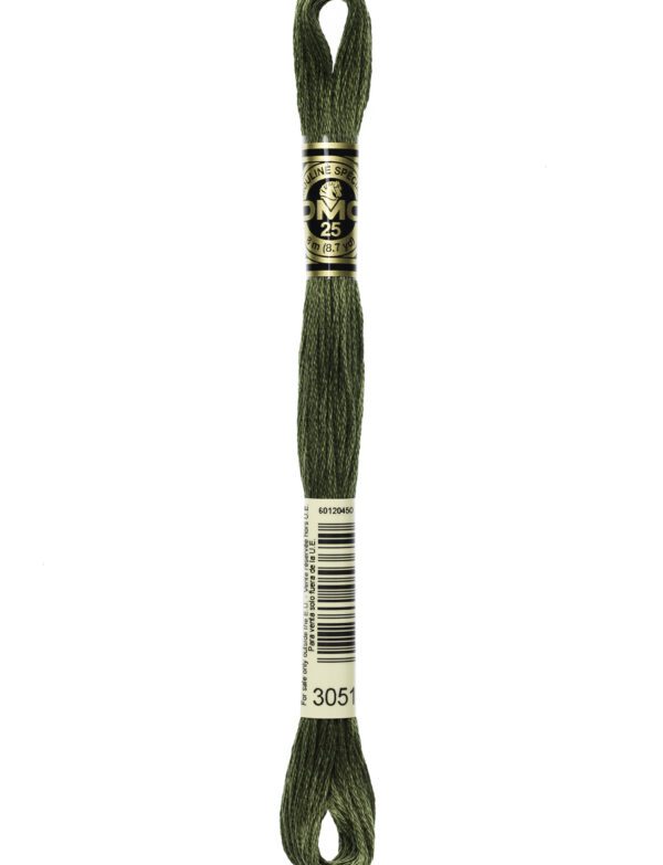 Hilo DMC Mouliné 3051