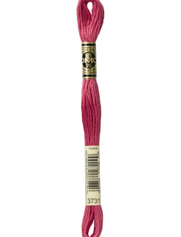 Hilo DMC Mouliné 3731