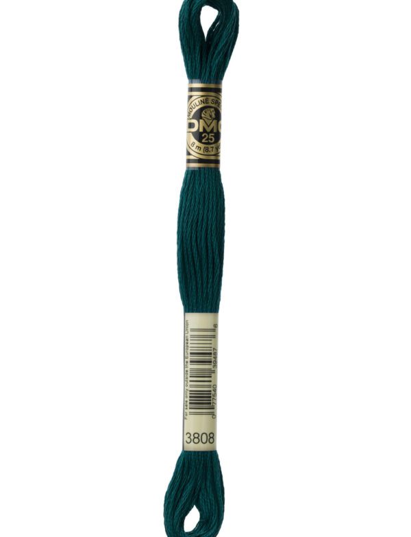 Hilo DMC Mouliné 3808