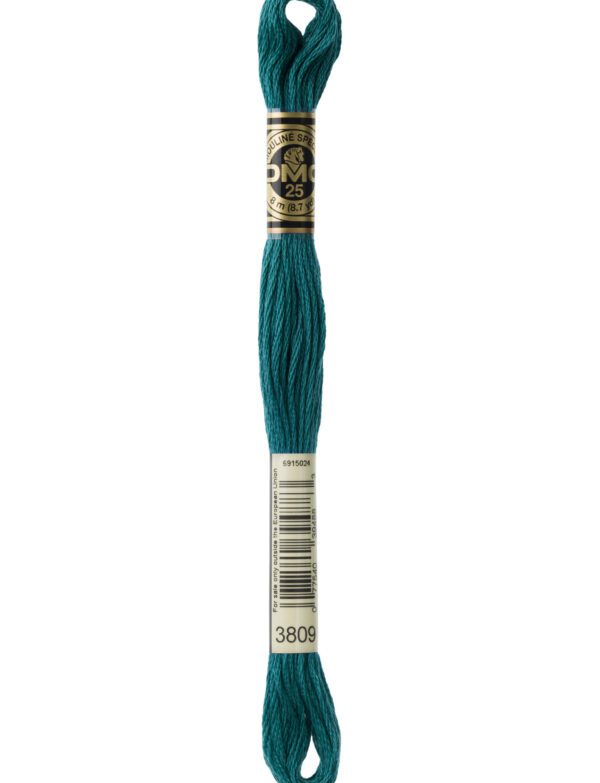 Hilo DMC Mouliné 3809