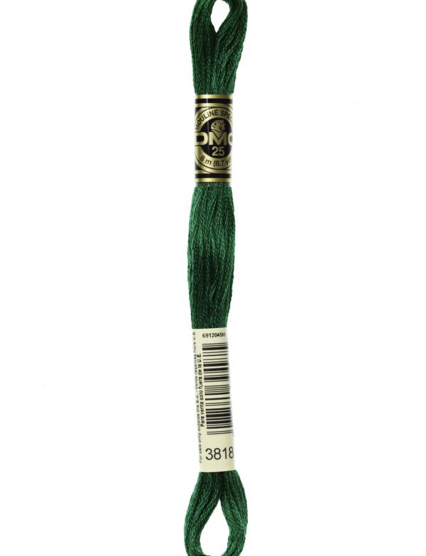 Hilo DMC Mouliné 3818