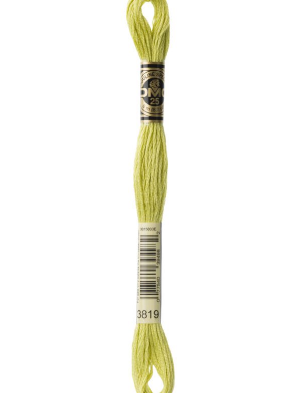 Hilo DMC Mouliné 3819