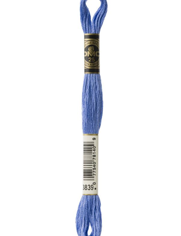 Hilo DMC Mouliné 3839