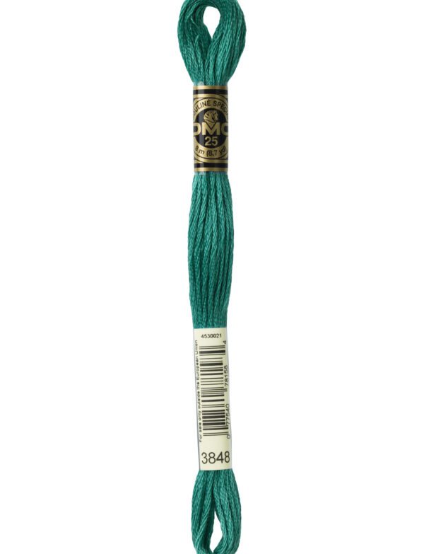 Hilo DMC Mouliné 3848