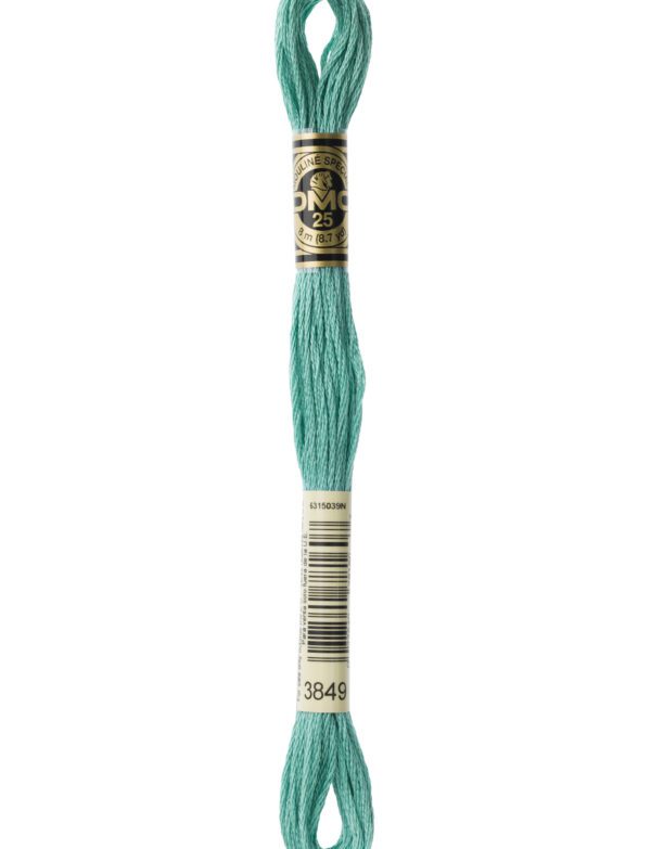 Hilo DMC Mouliné 3849
