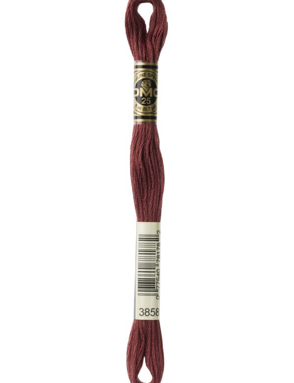 Hilo DMC Mouliné 3858