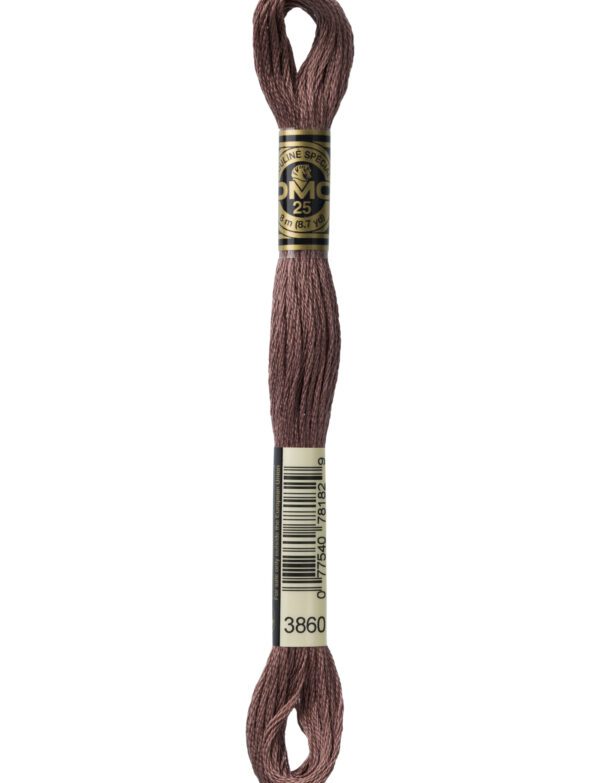 Hilo DMC Mouliné 3860