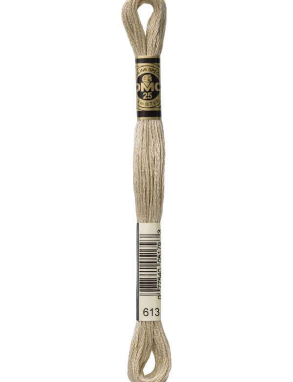 Hilo DMC Mouliné 613