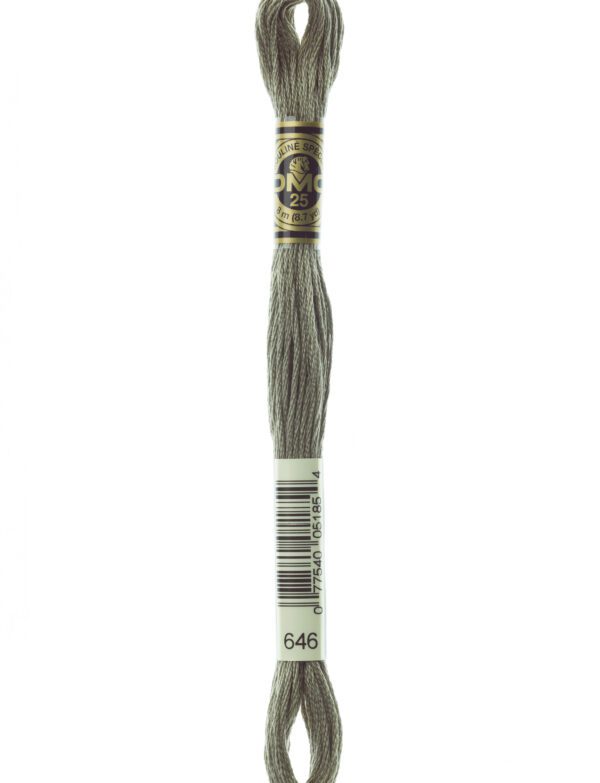 Hilo DMC Mouliné 646