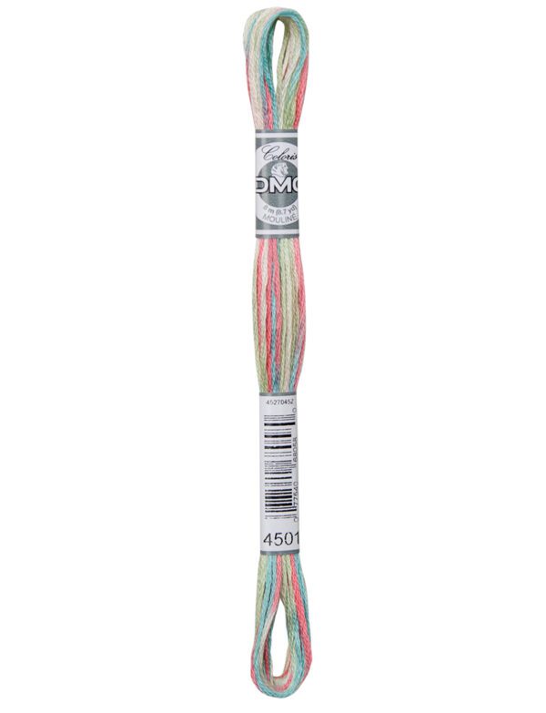 DMC Coloris 4501