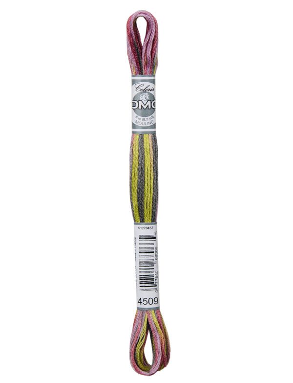 DMC Coloris 4509